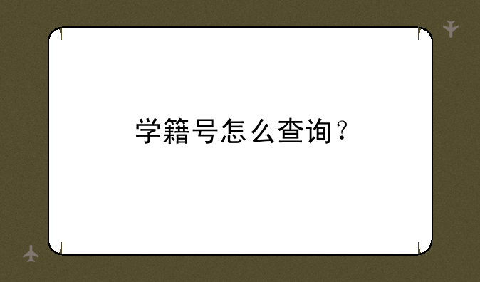 学籍号怎么查询？