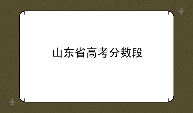 山东省高考分数段