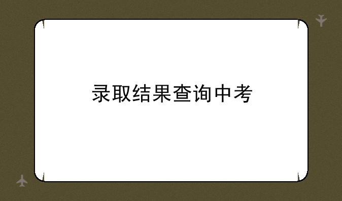 录取结果查询中考