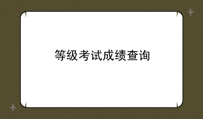 等级考试成绩查询