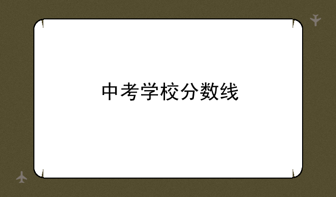 中考学校分数线