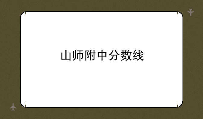 山师附中分数线