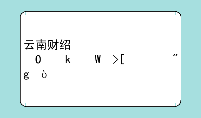 云南财经大学专业录取规则？