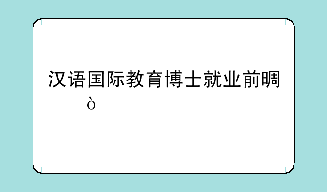 汉语国际教育博士就业前景？