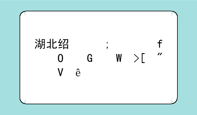 湖北经济学院专科录取分数线