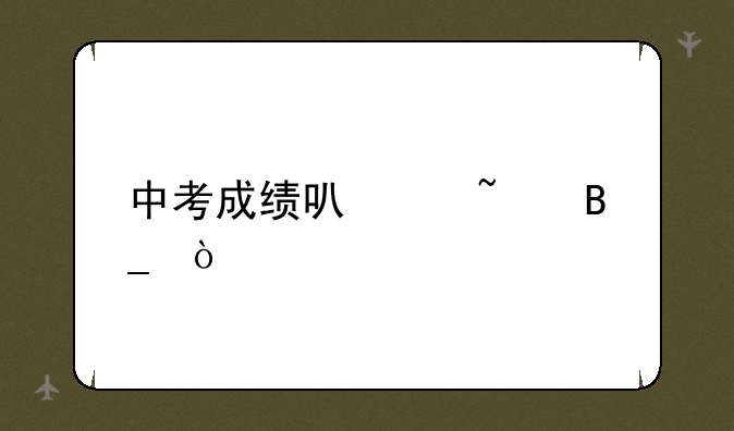 中考成绩可以查吗？