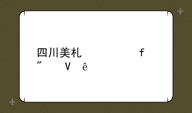 四川美术学院分数线