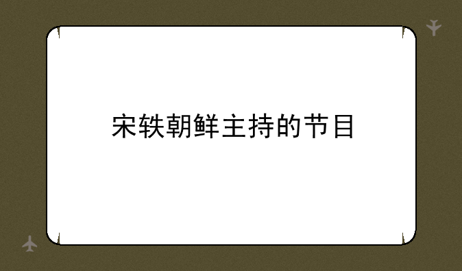 宋轶朝鲜主持的节目