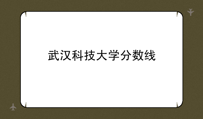 武汉科技大学分数线