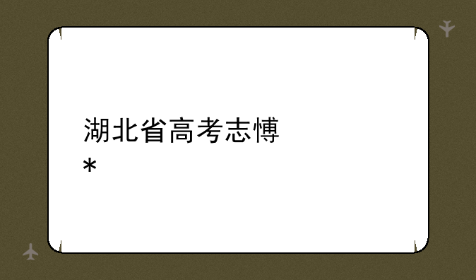 湖北省高考志愿填报