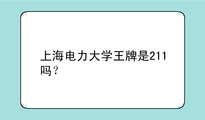 上海电力大学王牌是211吗？