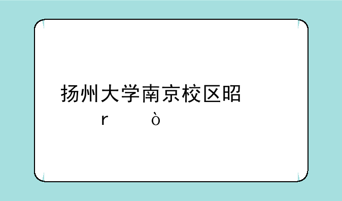 扬州大学南京校区是几本？