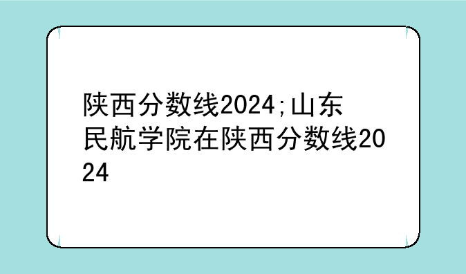 陕西分数线2024;山东民航学院在陕西分数线2024